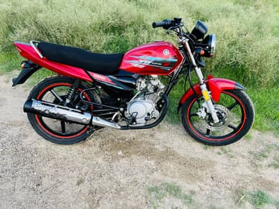 Yamaha ybz dx 2023 model