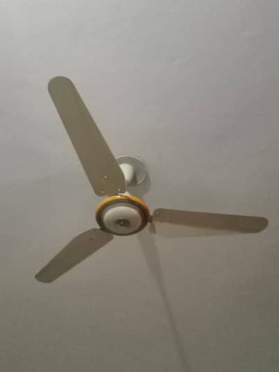 ofwhite color new fan