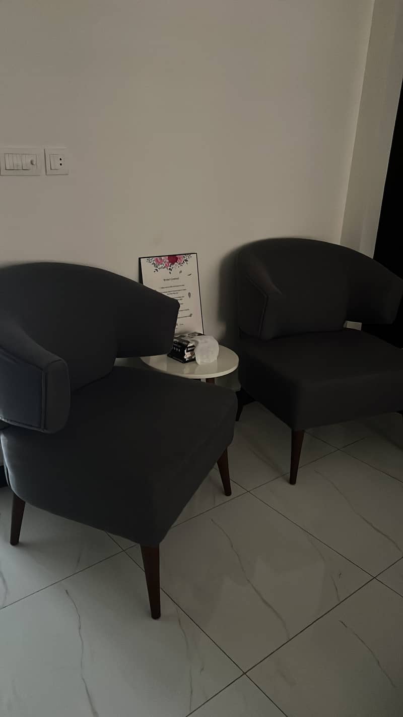 Grey Sofa Set 2