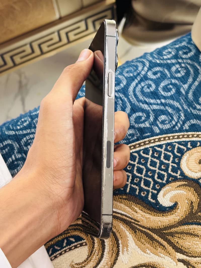 Apple iPhone 13 Pro Max 0