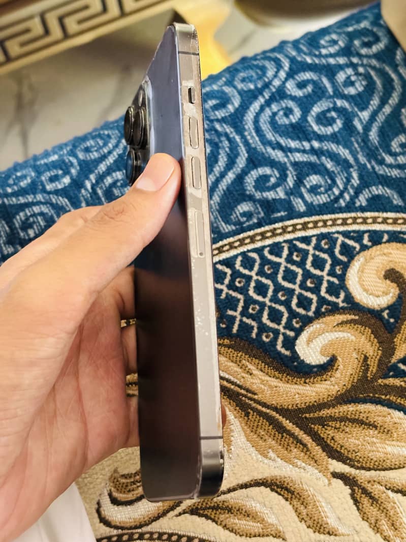 Apple iPhone 13 Pro Max 2