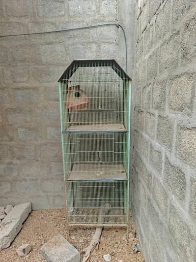 Parrot Cage
