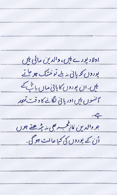 assignment writing