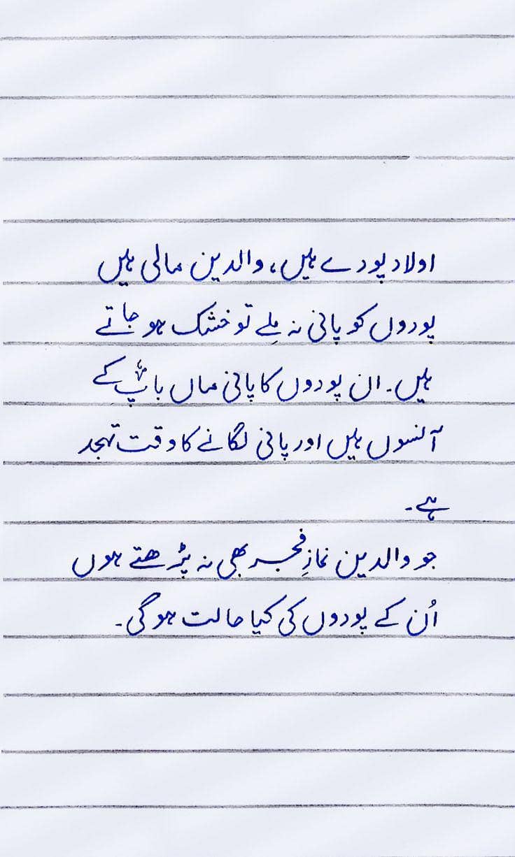 assignment writing 0