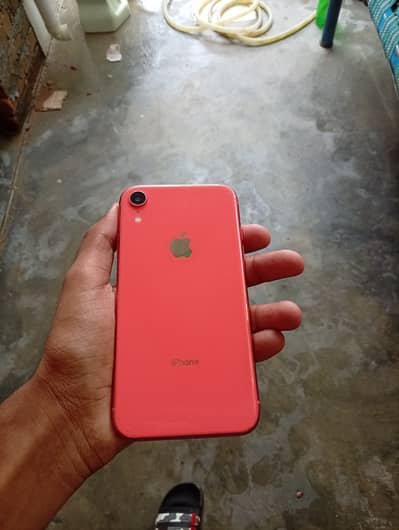 Apple iPhone XR