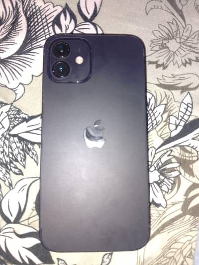 iPhone 12 jv