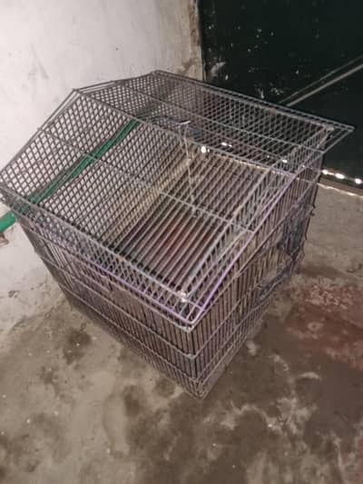 Hen and Parrot  cage