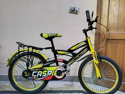 Bicycle Plus  Imported Bicycle 20  inches For Sale