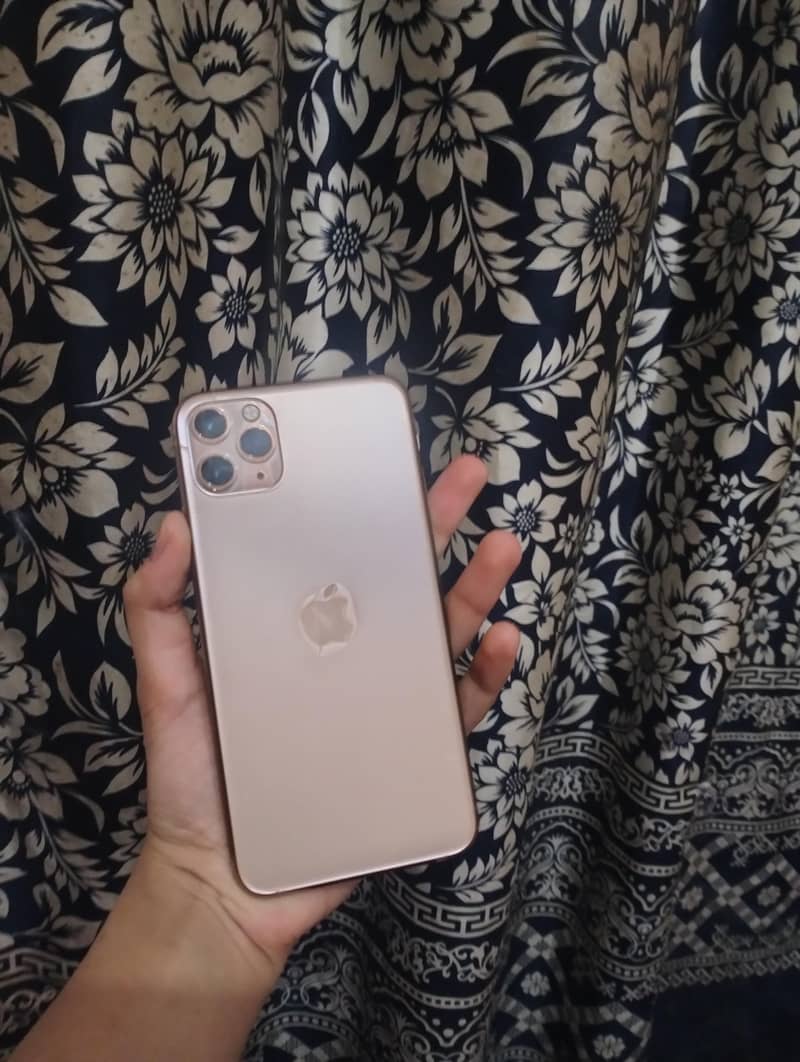 Apple iPhone 11 Pro Max 1