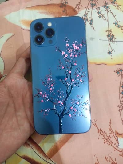 Apple iPhone 12 Pro Max