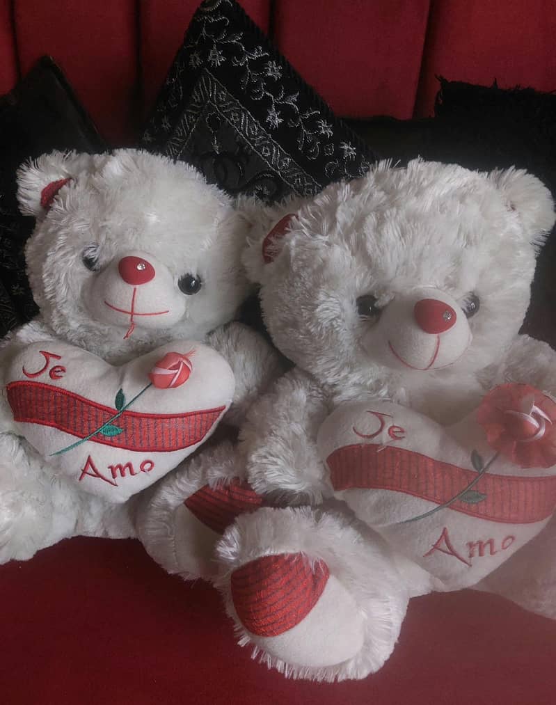 Teddy Bear White 1