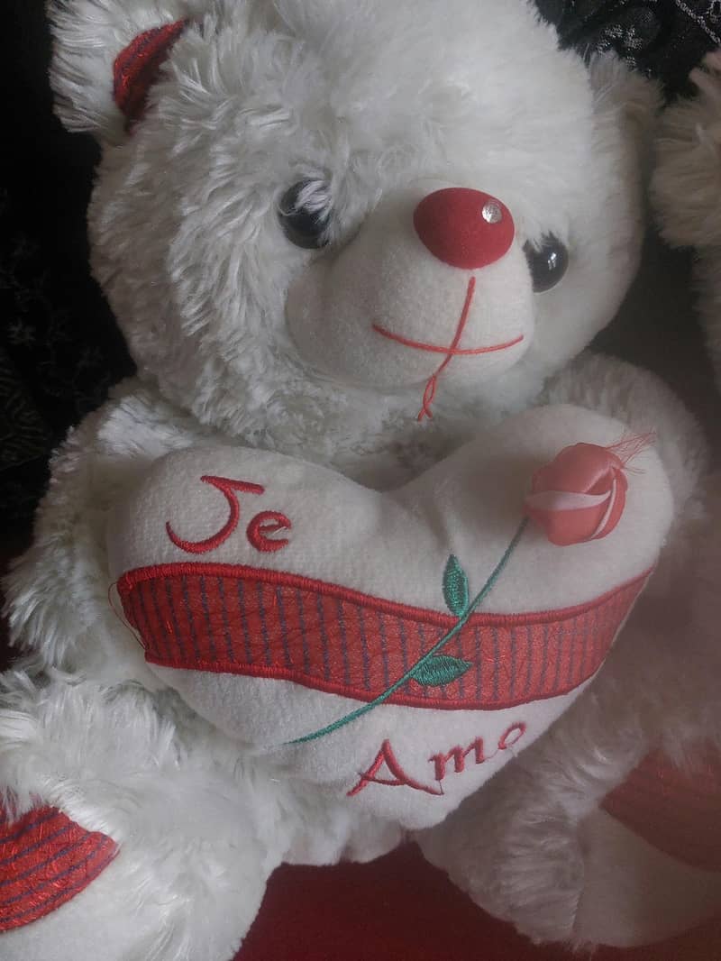 Teddy Bear White 2