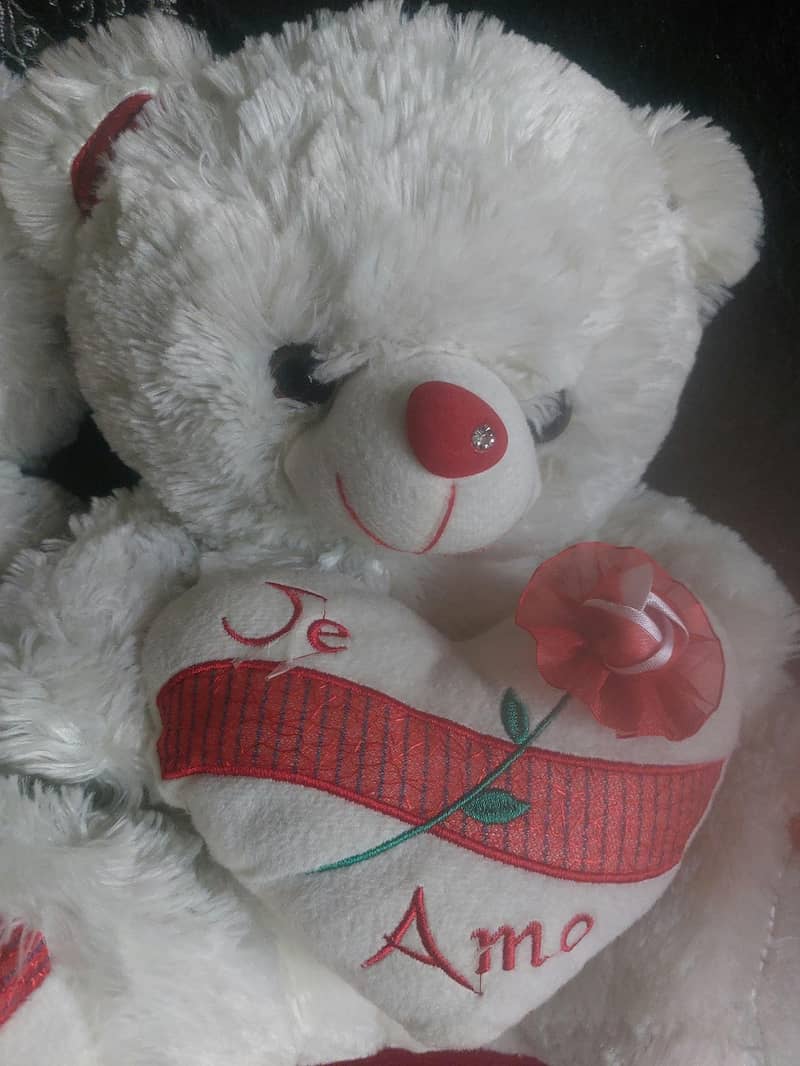 Teddy Bear White 5