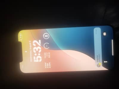 Apple iPhone 12 Pro Max