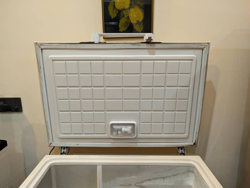 deepfreezer 1