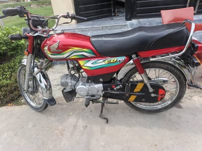 serius bayer rabta kary