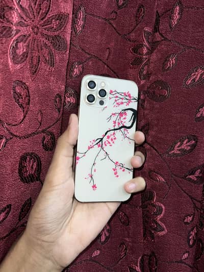 Apple iPhone 12 Pro