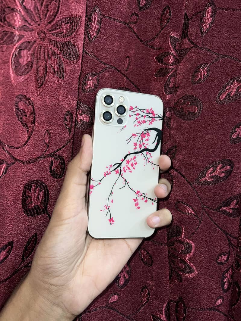 Apple iPhone 12 Pro 0