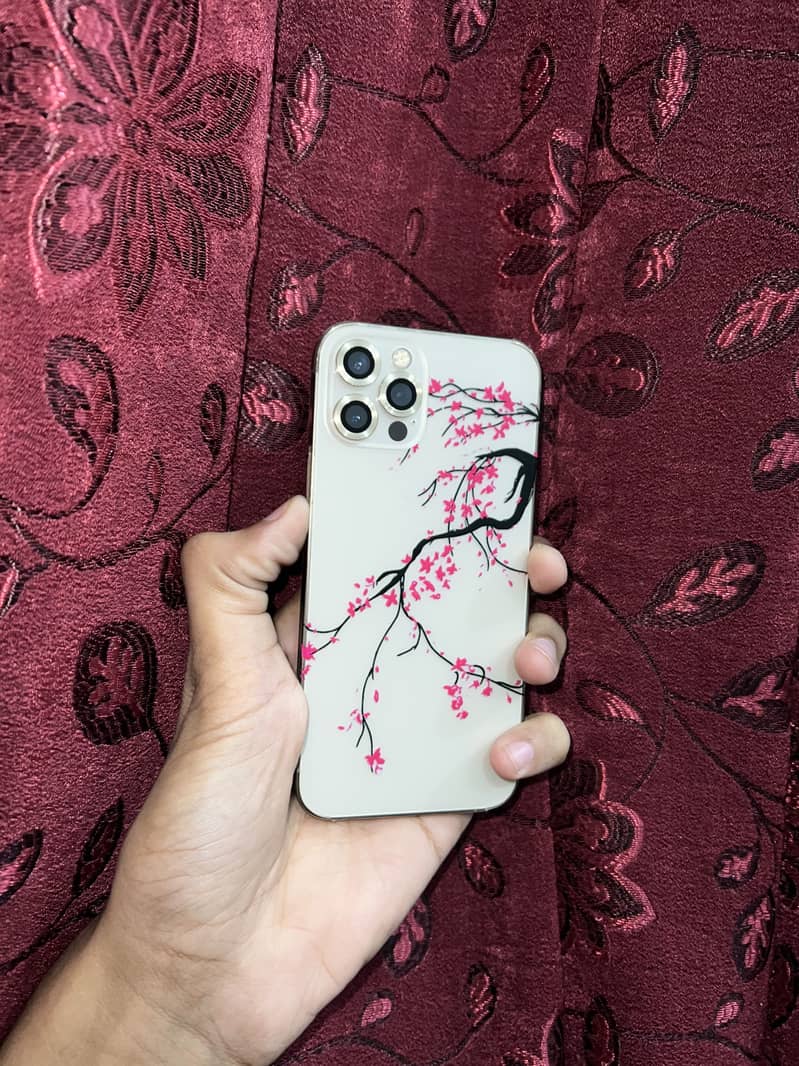 Apple iPhone 12 Pro 1