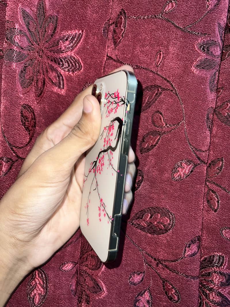 Apple iPhone 12 Pro 3