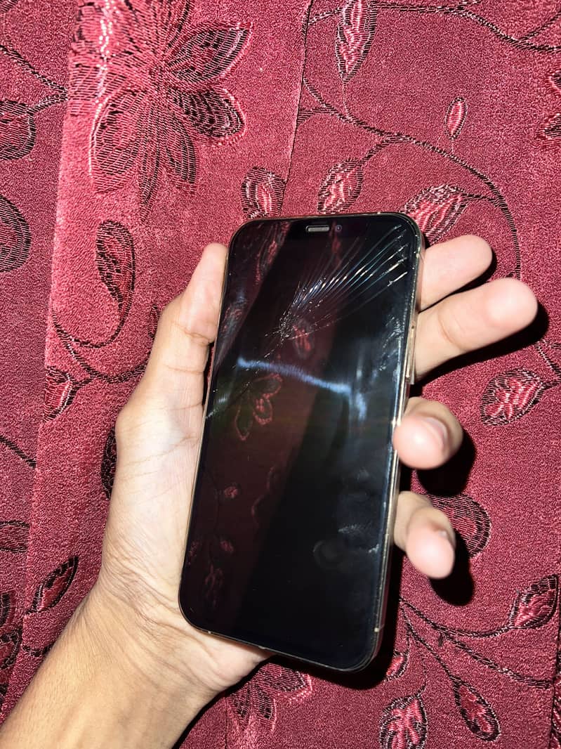 Apple iPhone 12 Pro 4