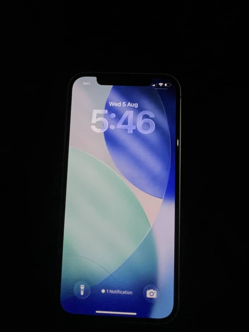 Apple iPhone 12 1