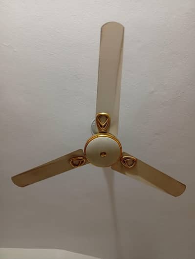 Celling Fan