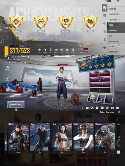 pubg_account_salee