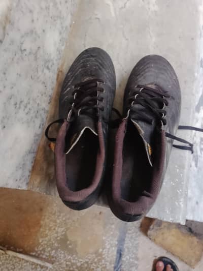 Original Adidas predator shoes