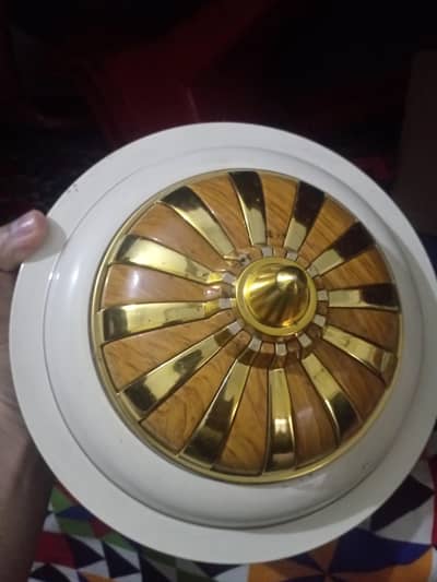 seeling fan 10/10 condition