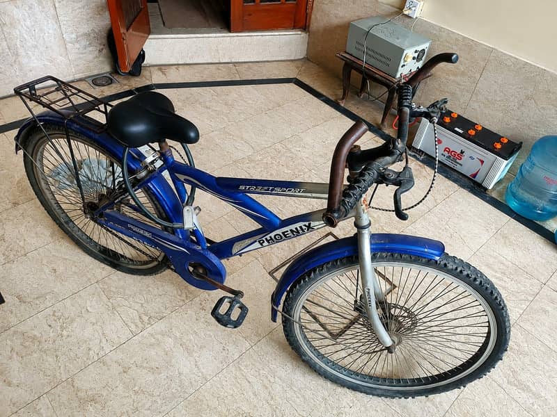 Original phoenix cycle 0