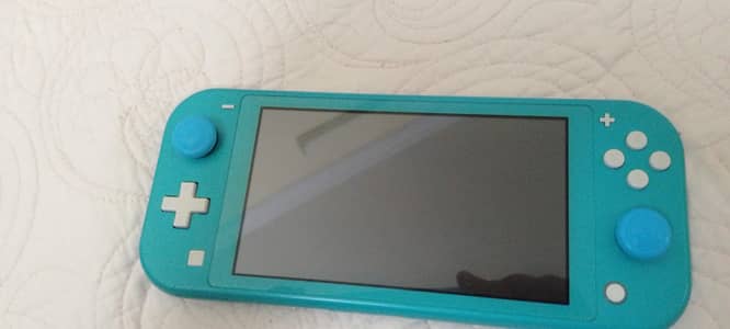 10/10 condition Nintendo lite