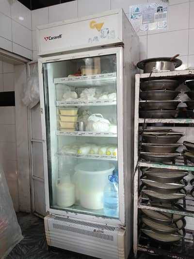single door display freezer for sale