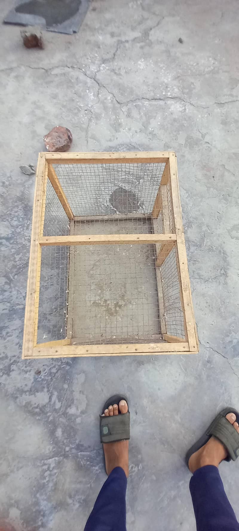 birds cage 0