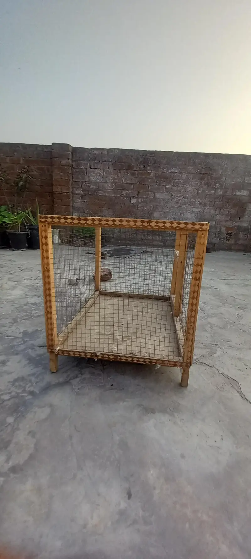 birds cage — photo 2
