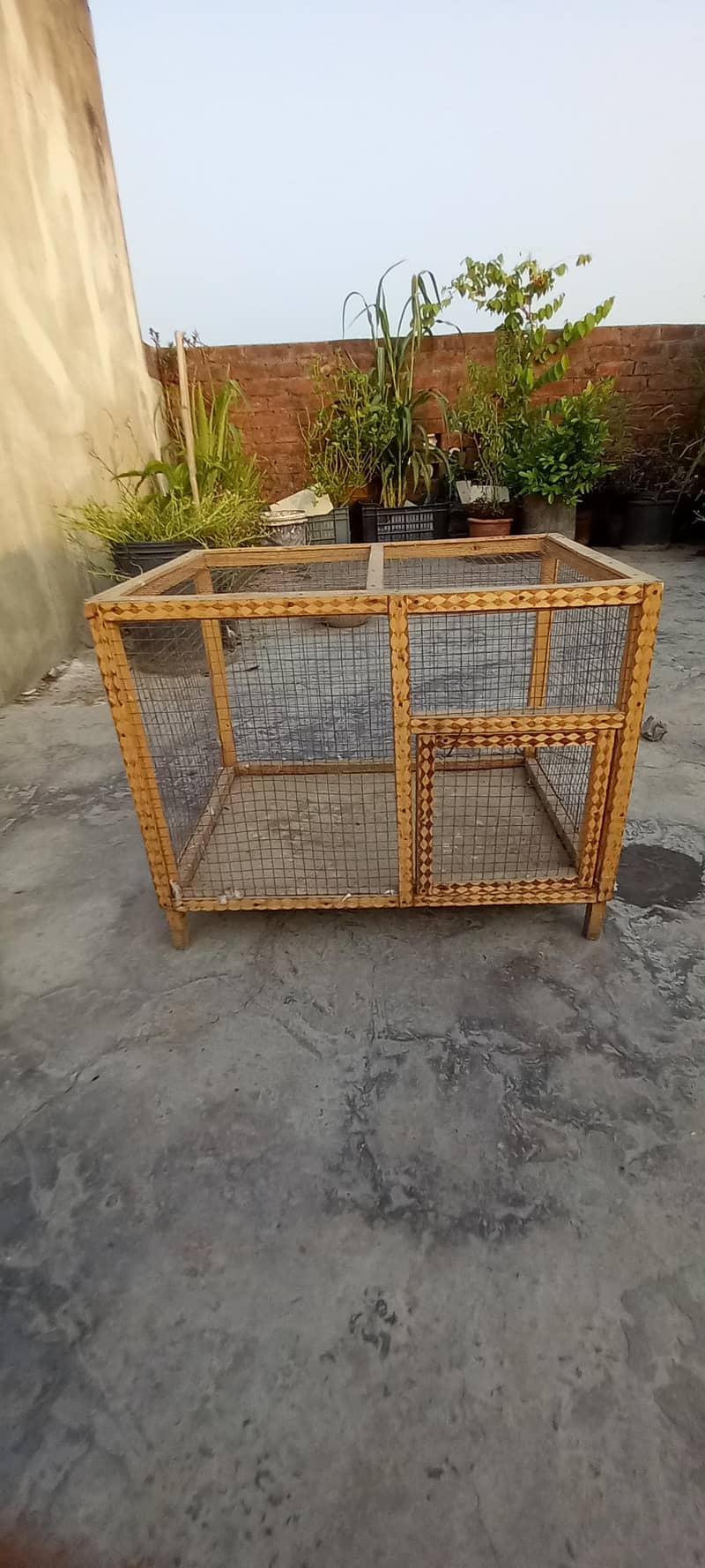 birds cage 2
