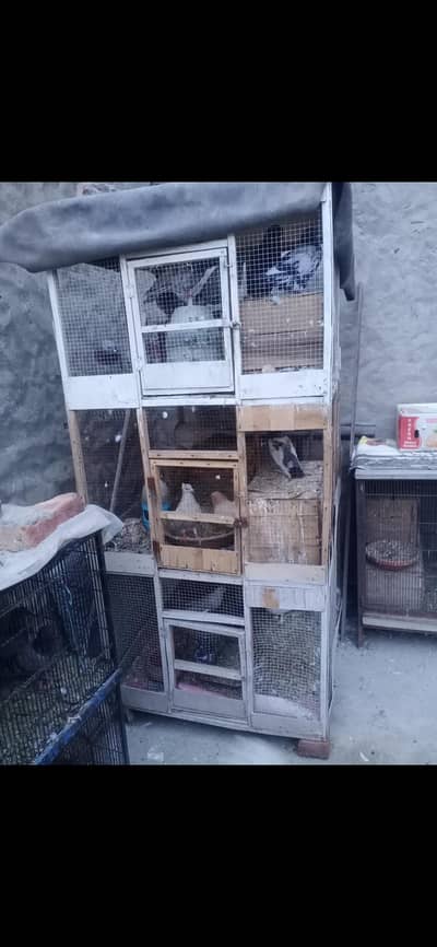 Animal Cage bird cage