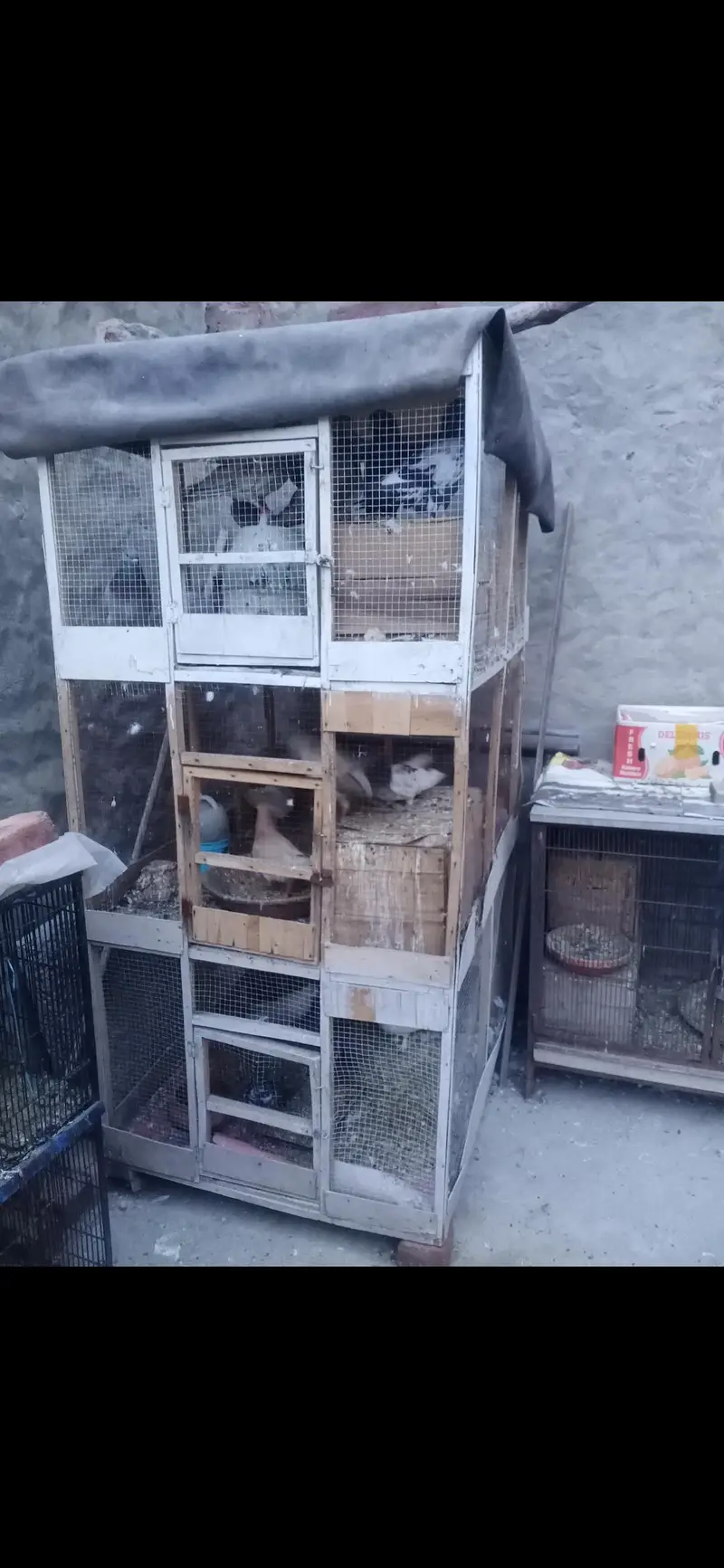 Animal Cage bird cage — photo 3