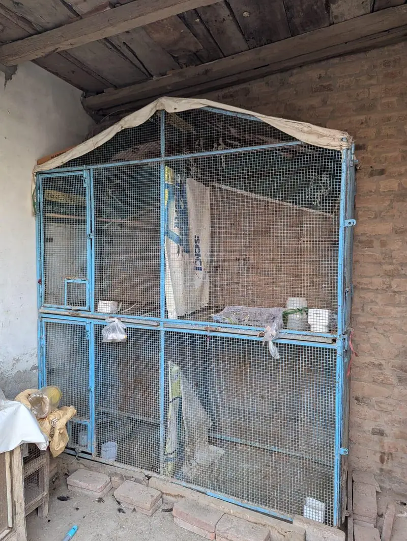 Cage for sale (Full size 4 portion) — photo 2