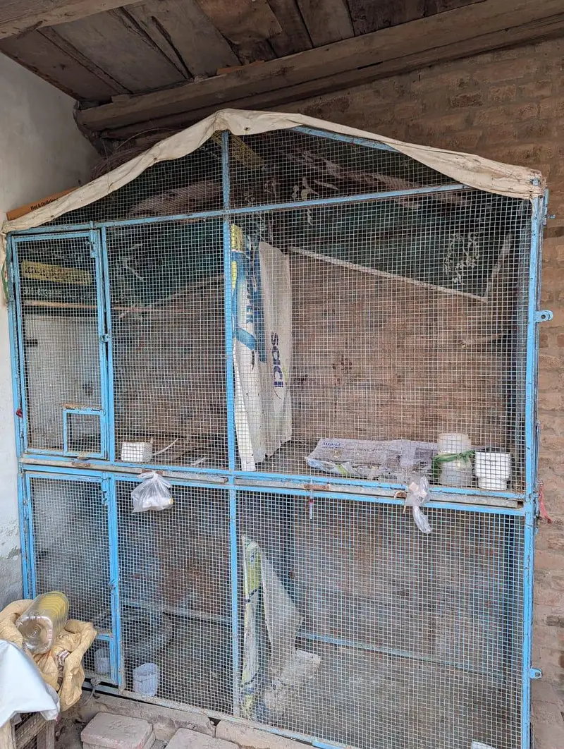 Cage for sale (Full size 4 portion) — photo 3