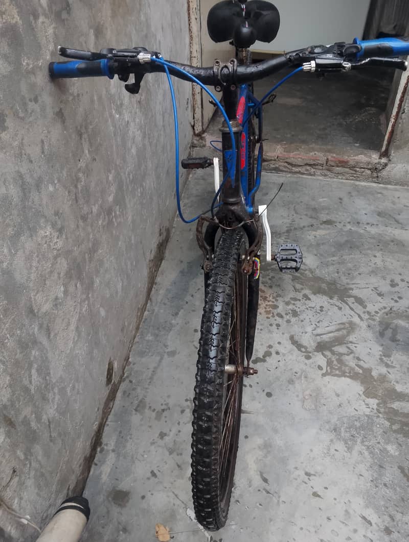 Phoenix bicycle 0