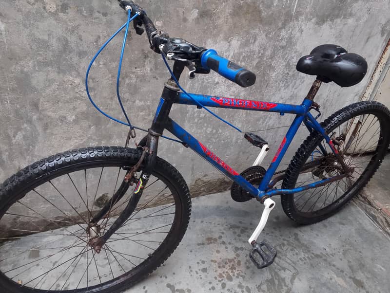 Phoenix bicycle 1