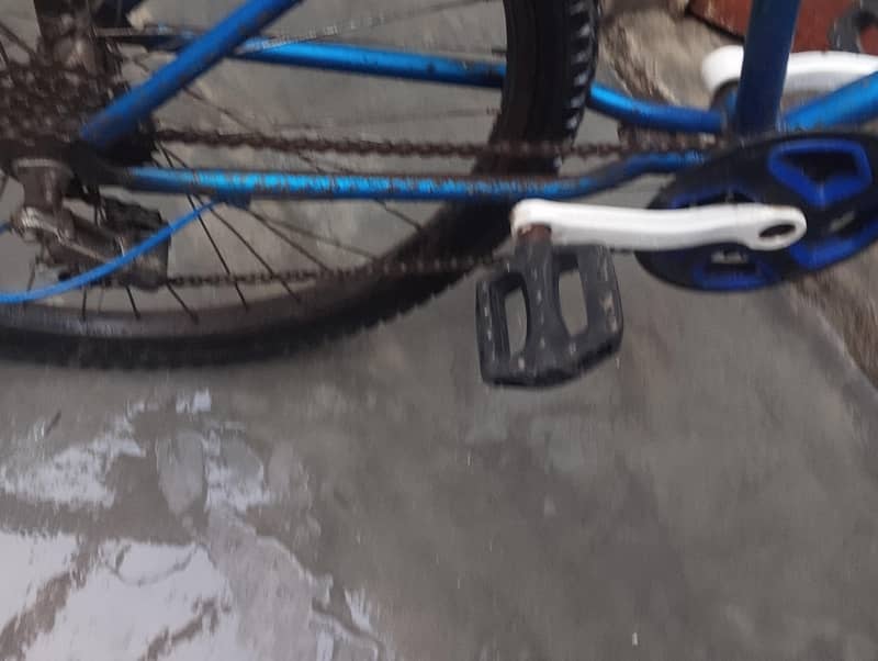 Phoenix bicycle 2