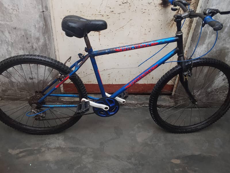 Phoenix bicycle 3