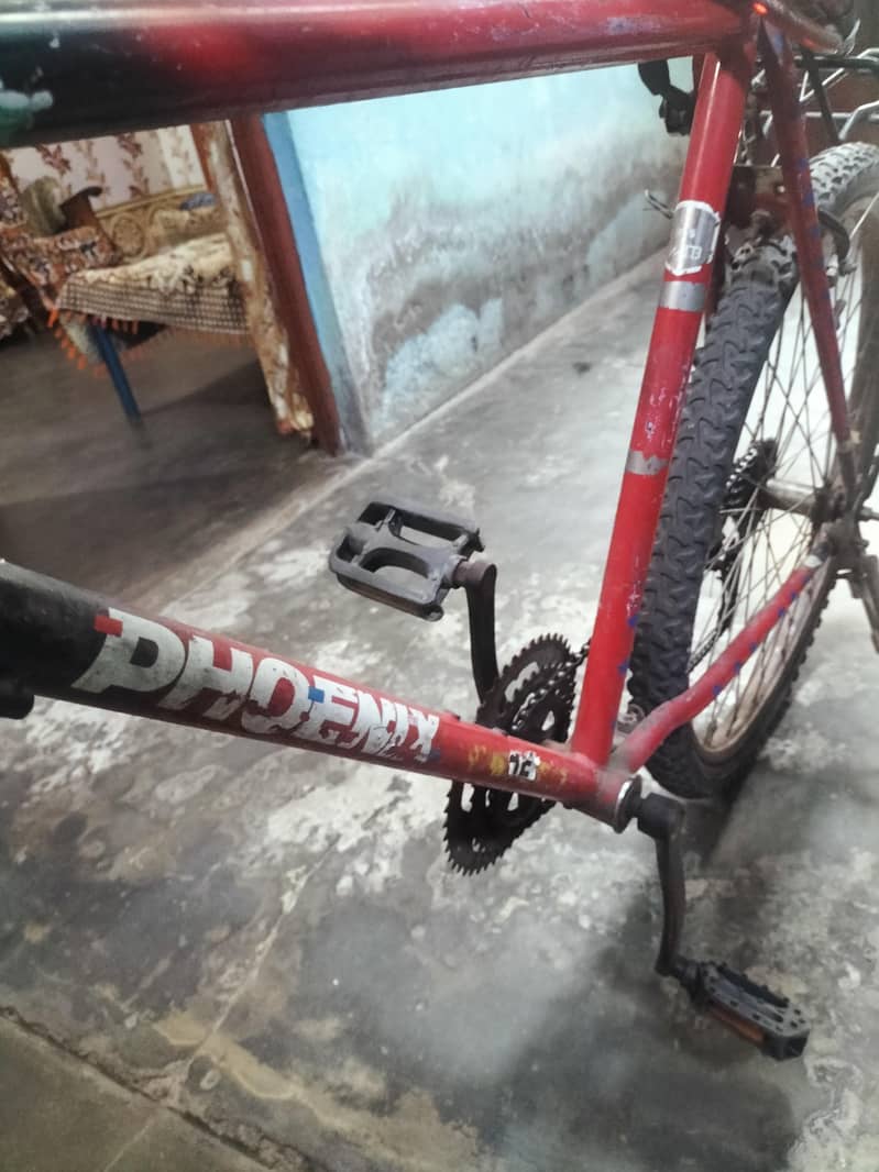 cycle 3