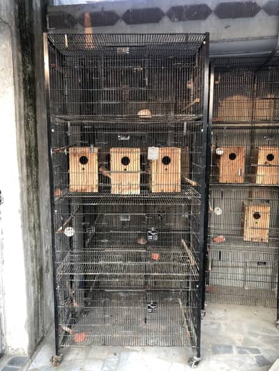 4in1 Cages & Breeding Boxes for lovebirds