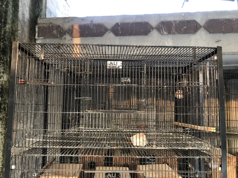 4in1 Cages & Breeding Boxes for lovebirds — photo 2