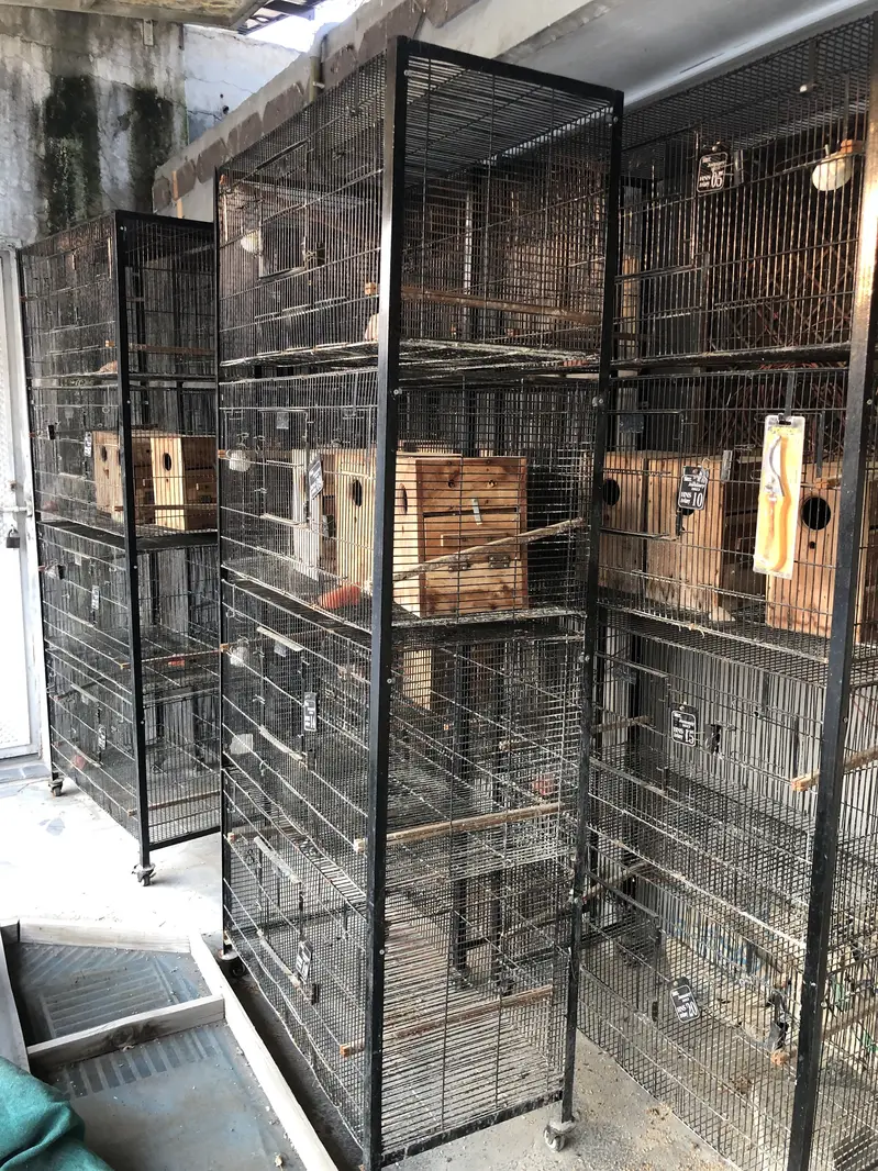 4in1 Cages & Breeding Boxes for lovebirds — photo 6