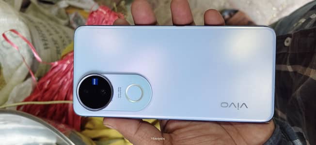 Vivo V50