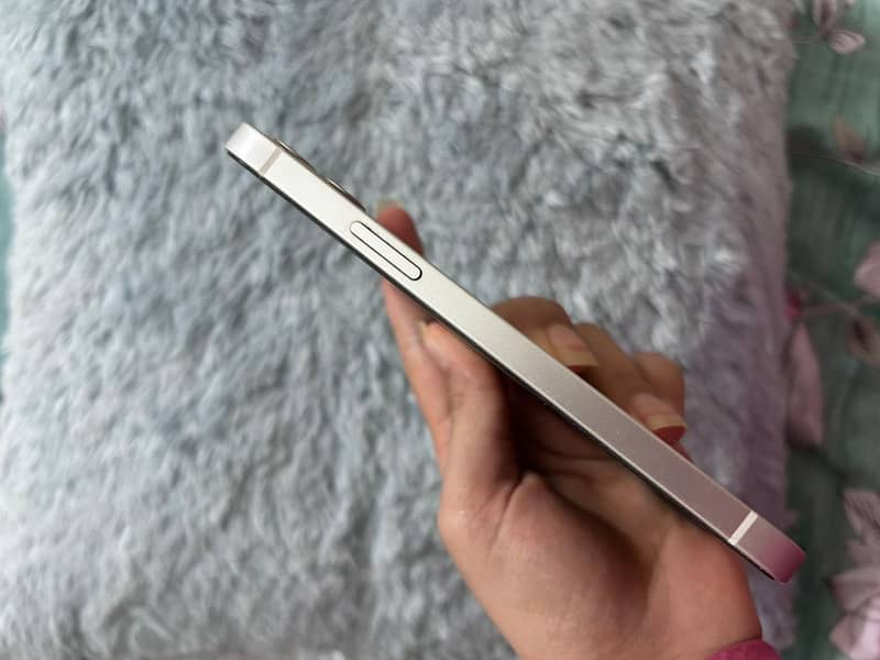 Apple iPhone 12 1